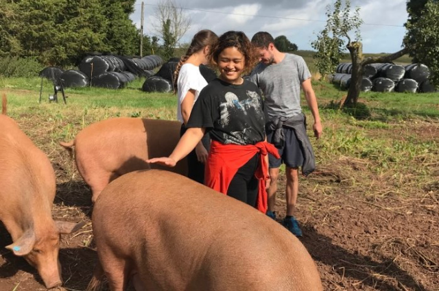 CAREER QUICK FIRE: SongSoo Kim, Head of Sourcing and Development at Super8