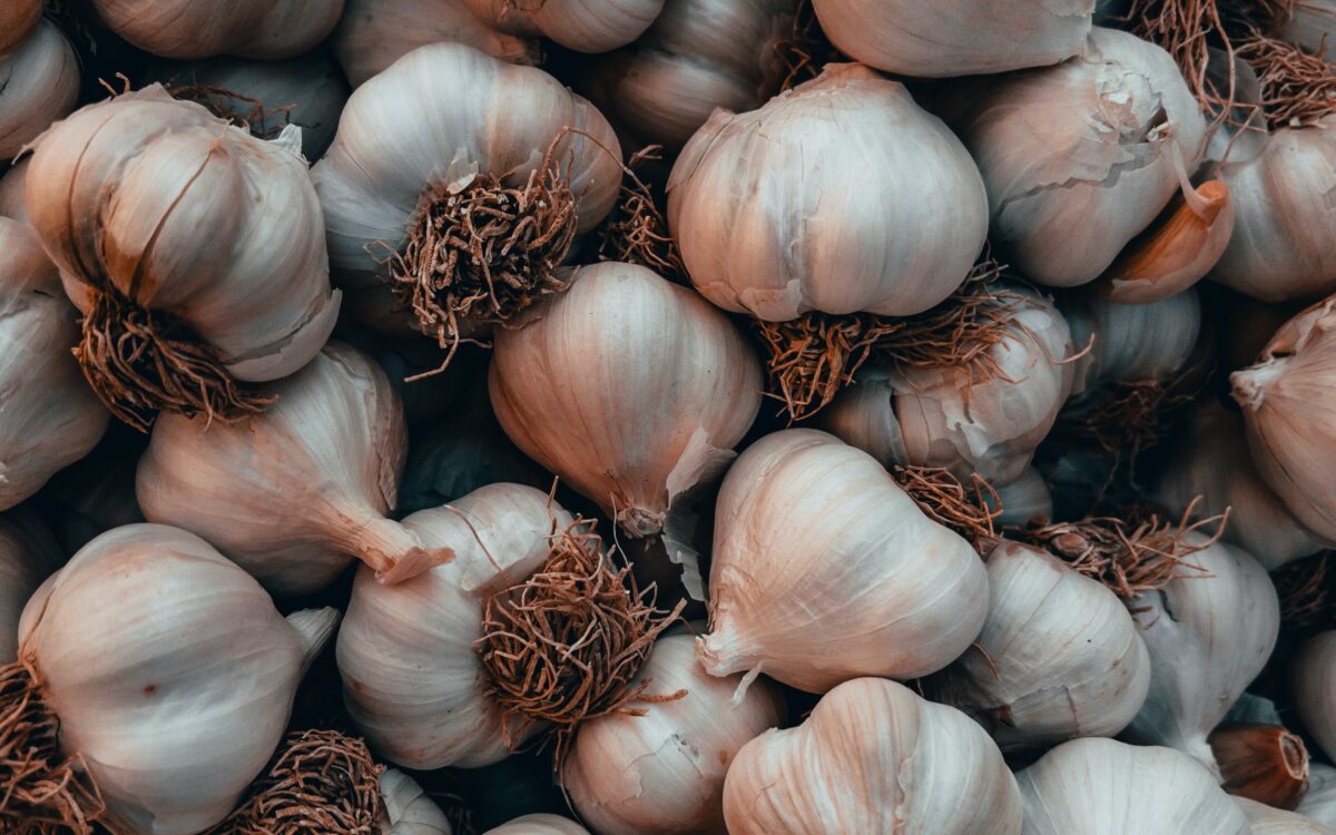 IMMUNITY-BOOSTING FERMENTS FOR THE BUSY SEASON