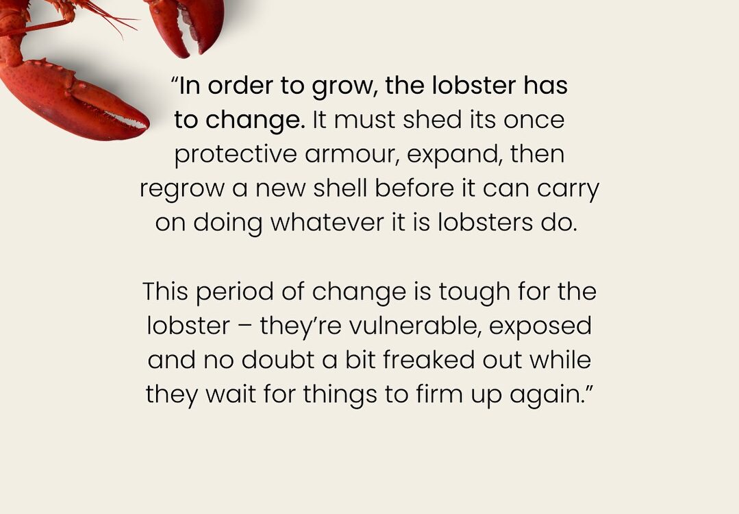 Embracing Change: Lessons from Lobsters and Hospitality