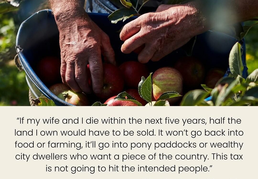 AUTUMN BUDGET: REACTIONS FROM THE FIELD