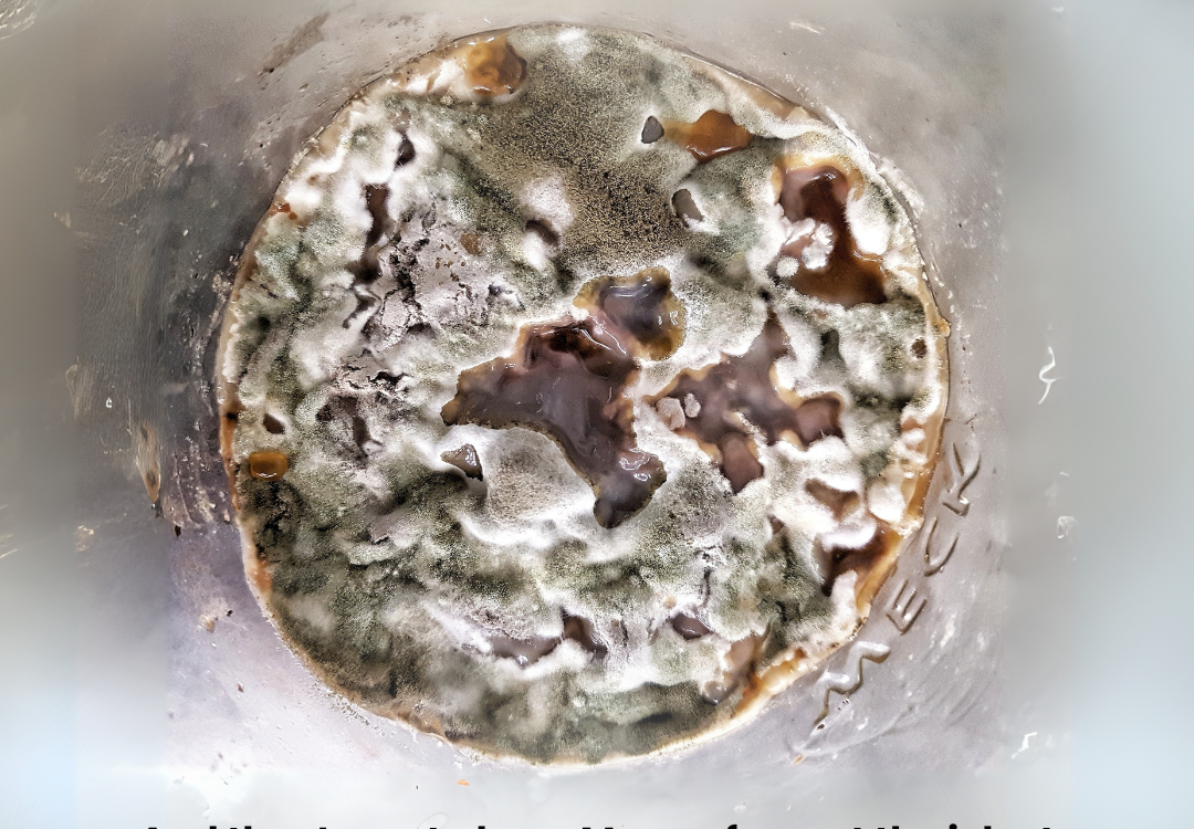 Fermenting Safely For Your Business